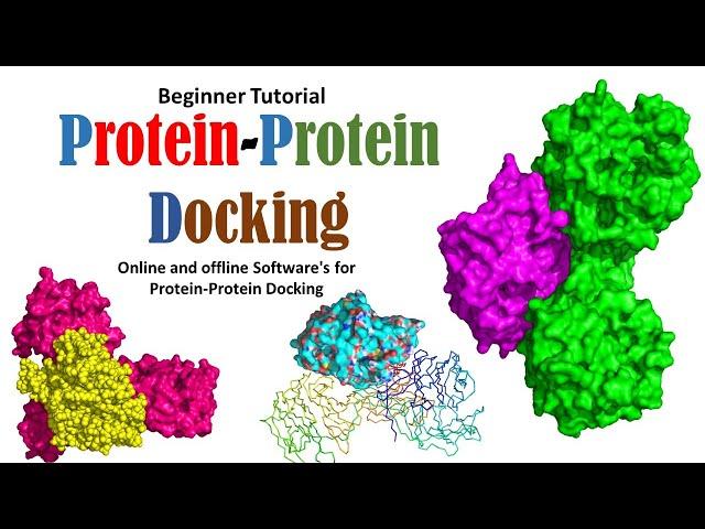 Protein - Protein Docking Beginner Tutorial