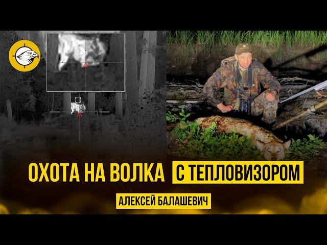 Охота на волка с тепловизором #спектроптик #hunting #волк #трофей #hunt #технологииохоты #тепловизор