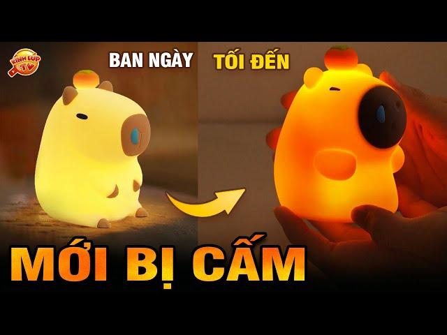  9 Đồ Chơi Đang Làm Mưa Làm Gió Nhưng Bị Thế Giới Cấm Vì Lý Do Này...I Kính Lúp TV