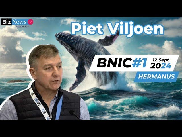 BNIC#1 Piet Viljoen: "Lollapalooza" outcomes, ridiculously bad investments and strategic insights