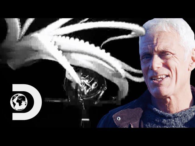 “This Giant Squid Is Taller Than A Two Storey House” | Jeremy Wade: Mysteries Of The Deep