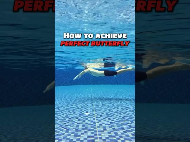 How to achieve perfect butterfly? #swim #swimming #freestyle #triathlon #ironman