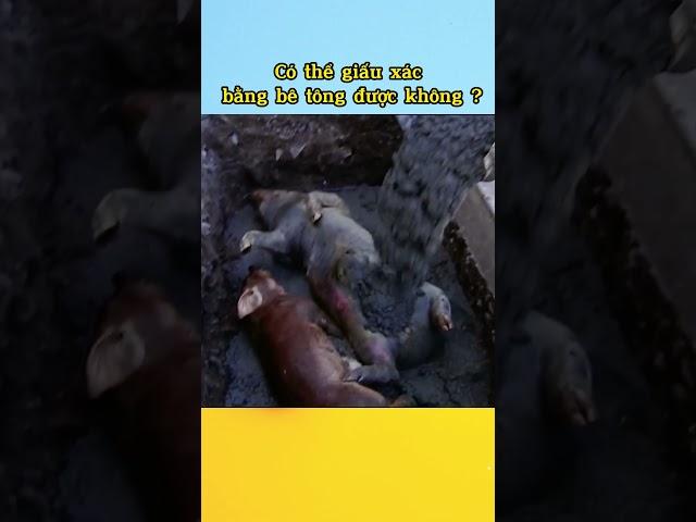 Có thể giấu xác bằng bê tông được không ?