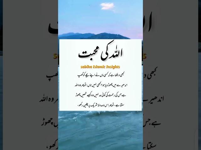 Allah ki Muhabbat️ | quotes | Urdu quotes | Islamic quotes in Urdu |  Islamic shorts | shorts