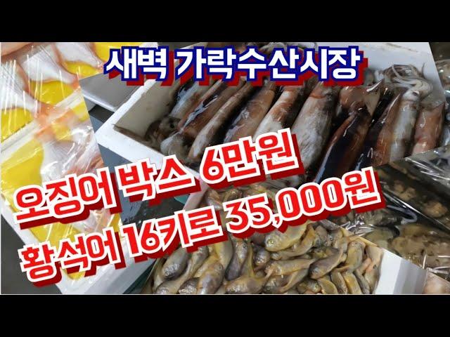 오징어 박스 6만원,  황석어 16키로 35,000원노 저렴