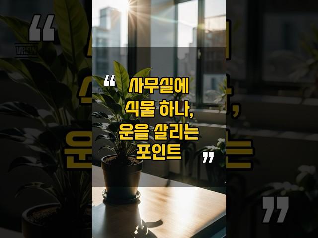 사무실에 식물 하나, 운을 살리는 포인트 l #재물운 #풍수 #풍수인테리어 #명당 #풍수지리 #건강
