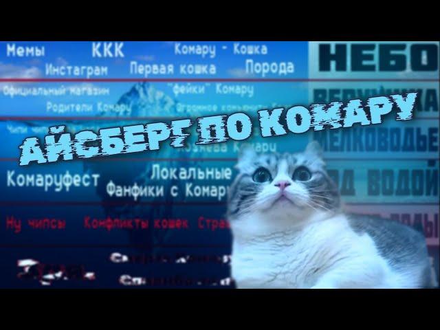 Айсберг по Комару | Теории и Факты