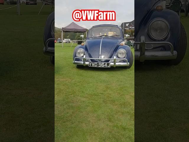 Classic VW Beetle rolling shot at VW Festival show and shine @VWFarm #carshow #bug #vw #restored