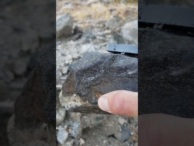 My honey hole find for the weekend #meteorite #astronomy #geology #uniquefind #viral #orbit #galaxy