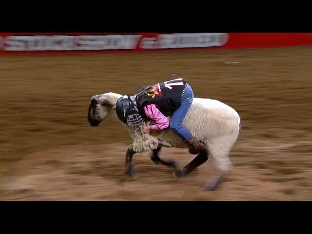 Mutton Bustin' highlights | San Antonio Rodeo | Feb. 16, 2024