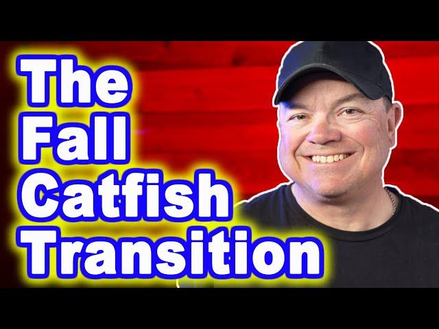 Catfishing the Fall Transition