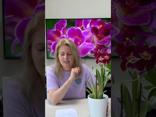 НЕОБЫЧНЫЕ ОРХИДЕИ (полное видео заходите смотреть на канал)