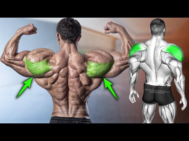 5 Best Rear Delt Exercise (BOULDER SHOULDERS)