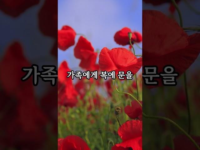 6. 16일 지나 하늘의 천복을 받게되는 띠는 누구일까요