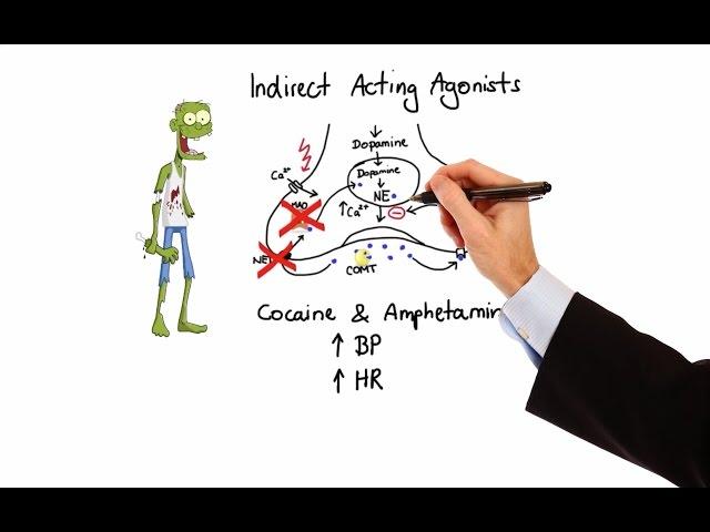 Pharmacology - ADRENERGIC RECEPTORS & AGONISTS (MADE EASY)