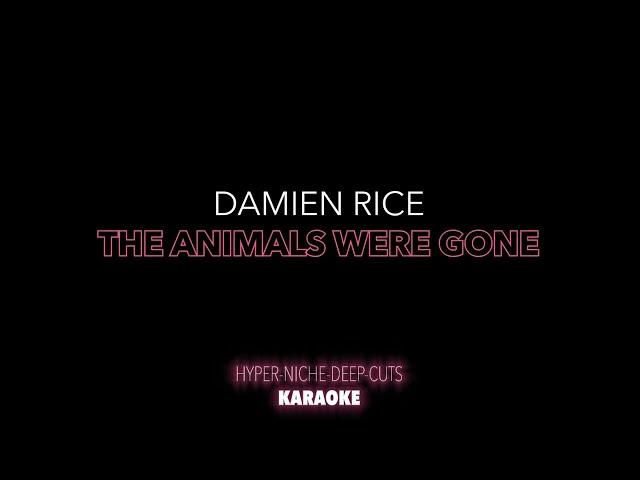 Damien Rice - The Animals Were Gone - Karaoke