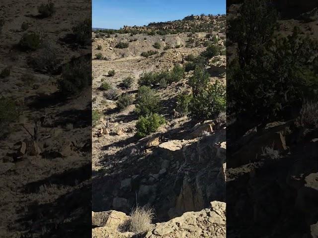 10/26/24 hike New Mexico a flat incline in high desert, mountain ahead. #nature #desert #mountains