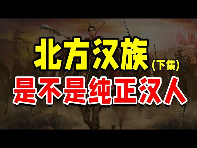 【下集】北方汉族是不是纯正汉人