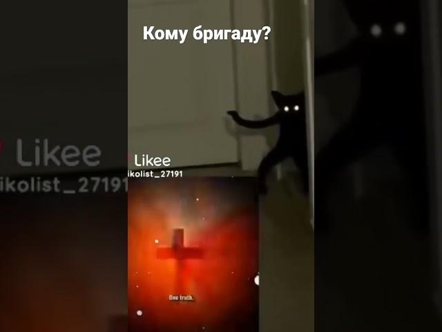 пиши в комы #кот # демон