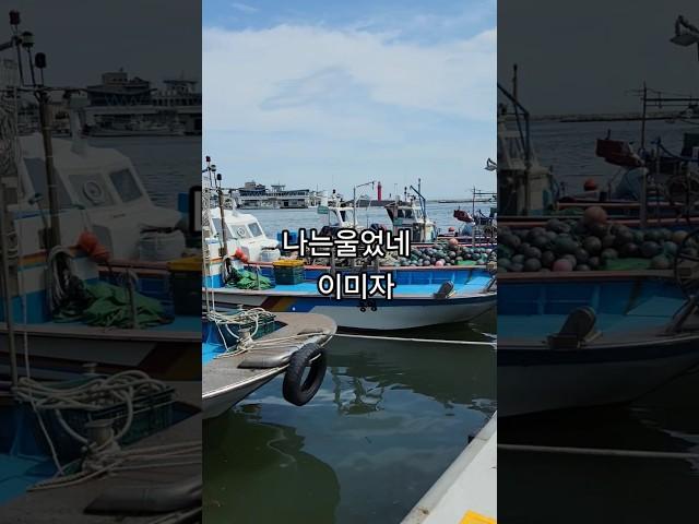 #이미자#나는울었네 #일상브이로그 #아름다운풍경 #바닷가