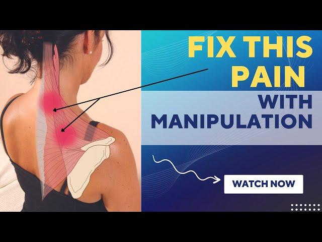 How to Assess & Manipulate the Cervical Spine by John Gibbons