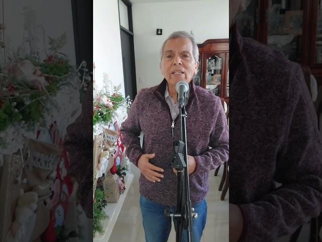 Puente  de piedra - cover por Angel del Valle