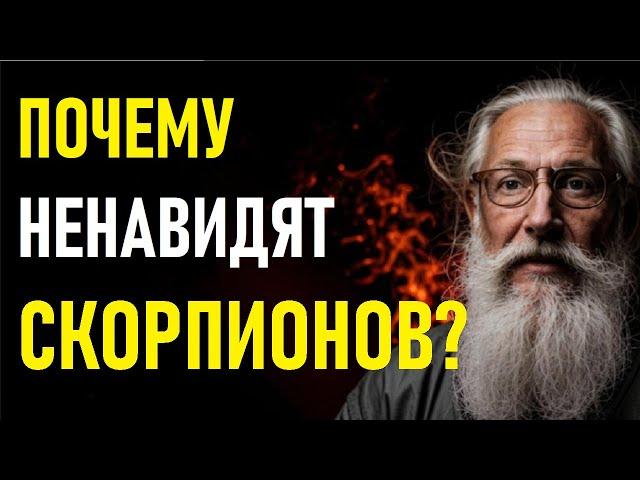 ️Почему ненавидят СКОРПИОНОВ?️