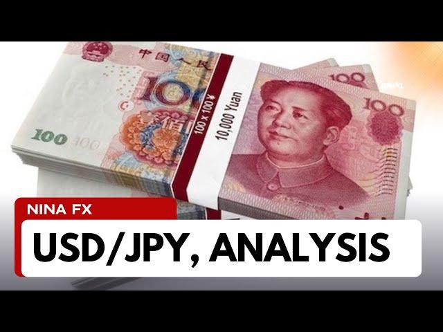 USD JPY Daily Chart Analysis for December 23, 2024