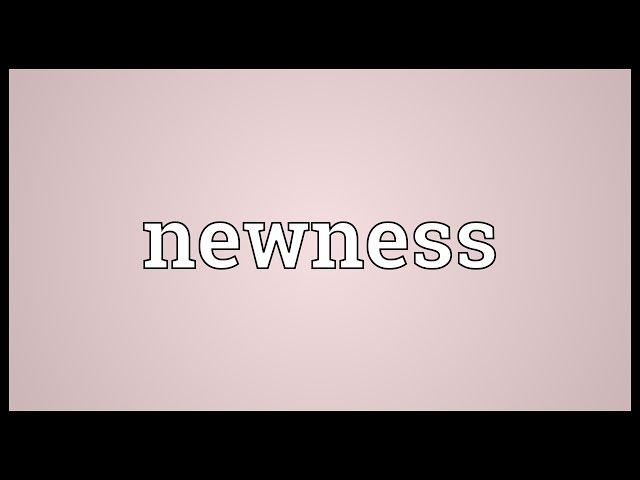 Newness Meaning