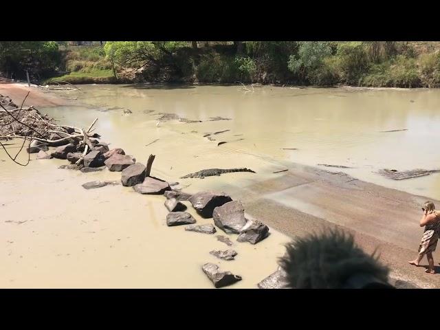 A girl approaching a croc at Cahill’s Crossing. Pls be croc wise.