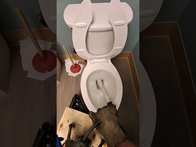 How to unclog and snake a toilet