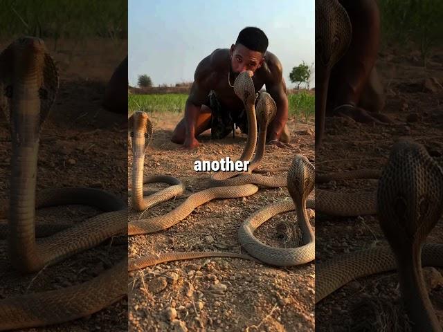 Their Obsession with Snakes Is Absolutely Insane 