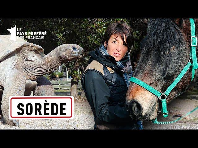 La vallée des tortues - Julie Raynaud - 1000 km à cheval - Saison 2 - EP 8  - SBS