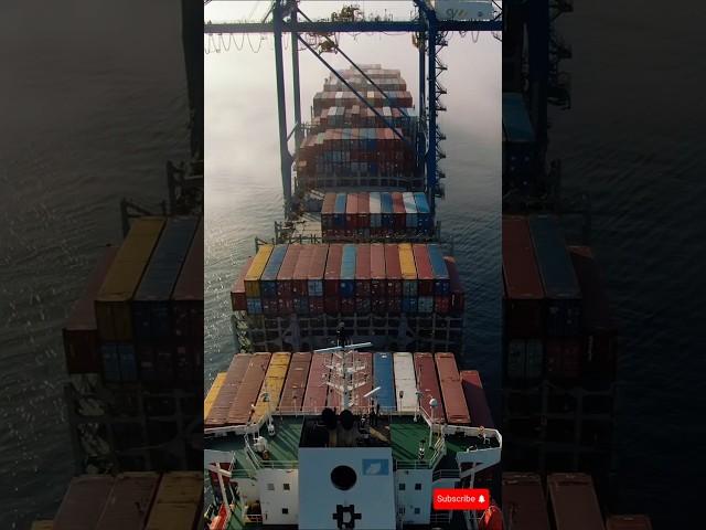 Into the Storm Cargo Ship Battles Monster Waves at Sea #cargoship #ship #marineservices