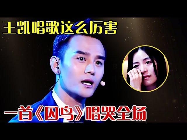 王凯唱歌也太好听了!一首《囚鸟》嗓音低迷沙哑唱哭全场,又是被演技耽误的歌手！ 【跨界之声】#王凯