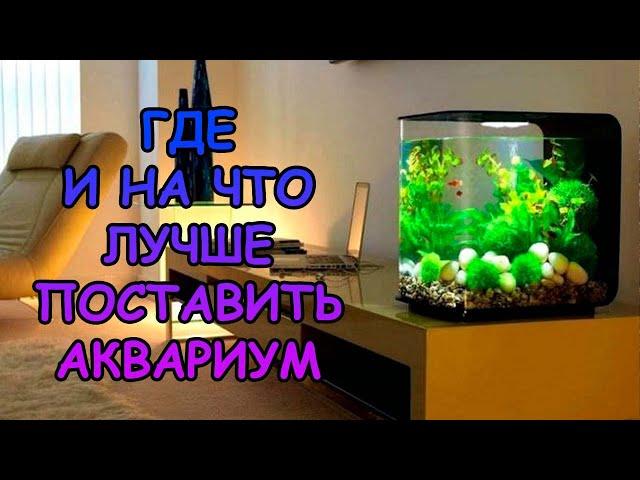 ГДЕ И НА ЧТО ЛУЧШЕ ПОСТАВИТЬ АКВАРИУМ #АКВАМЕН #АНТИЛОПУХ