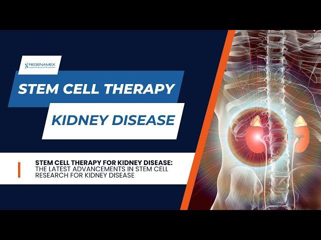 Stem Cell Therapy for Kidney Disease - Discover the Future of Stem Cells For Kidney Disease🩺