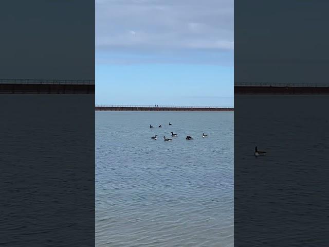 The Breakwall At Veterans Waterfront Park / Port Austin, Michigan