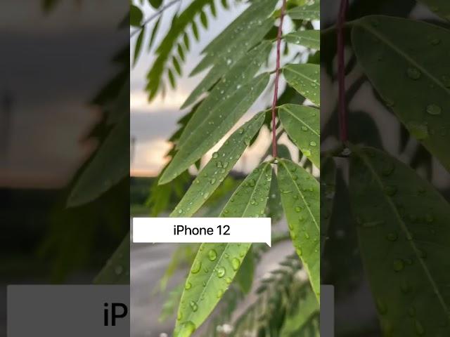 iPhone 12 VS SONY ALPHA a6000 | VIDEO COMPARISON | VIDEO TEST