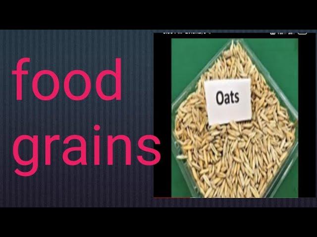 Food Grains || Food Grains names