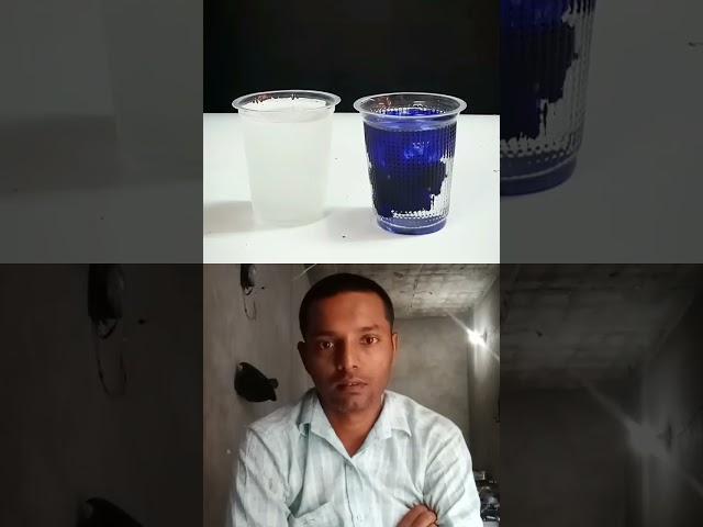 Ink Science Experiment
