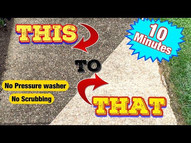 How to clean / pressure wash a driveway & sidewalk without a pressure washer ! * No Scrubbing diy *