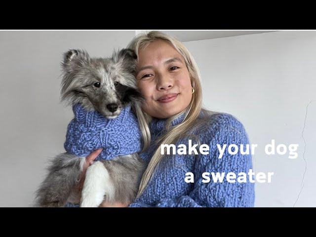 how to: make a sweater for your dog | make a custom sweater for your dog