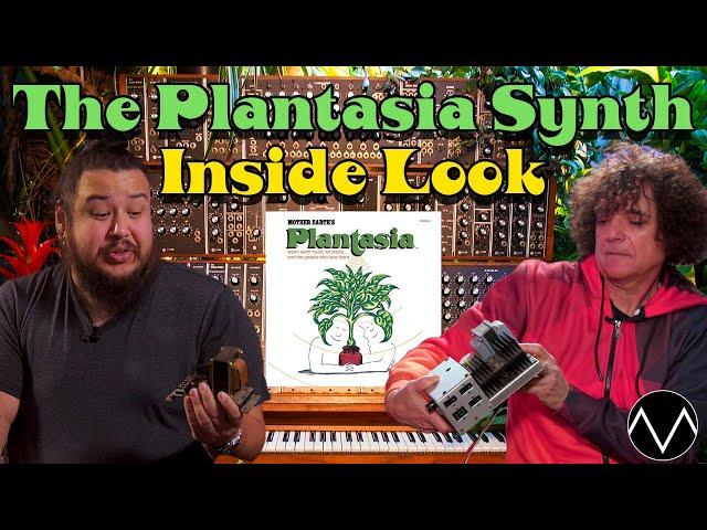 Rare Tour of Iconic "Plantasia” Moog w/ Synth Guru Rob Rosen