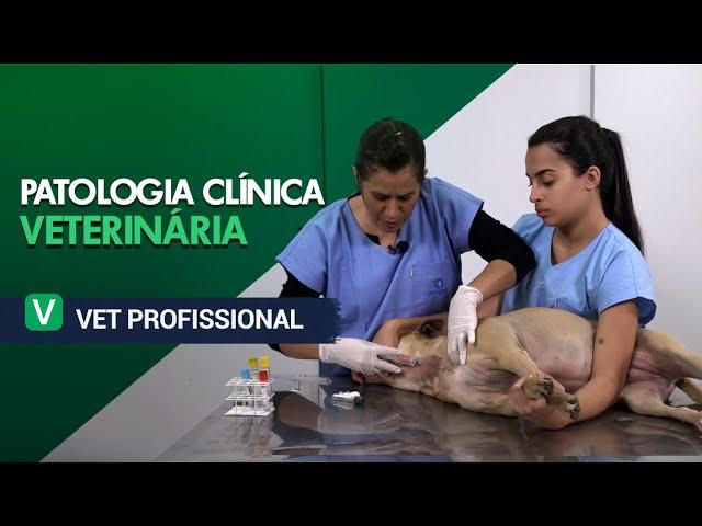 Patologia Clínica Veterinária l VET Profissional