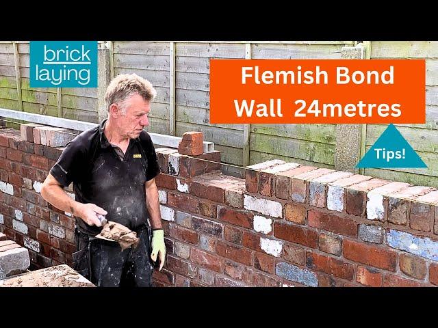 WHAT A JOB FLEMISH BOND Garden wall