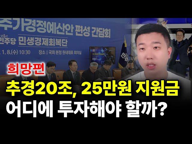 추경20조, 25만원 지원금 어디에 투자해야 할까? (희망편)