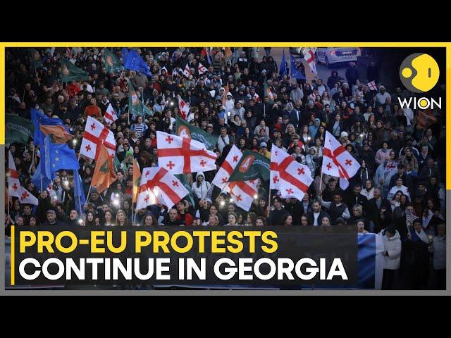 Pro-EU Protests in Georgia: Six Members Of EU Parliament Join Stir To Express Solidarity | WION