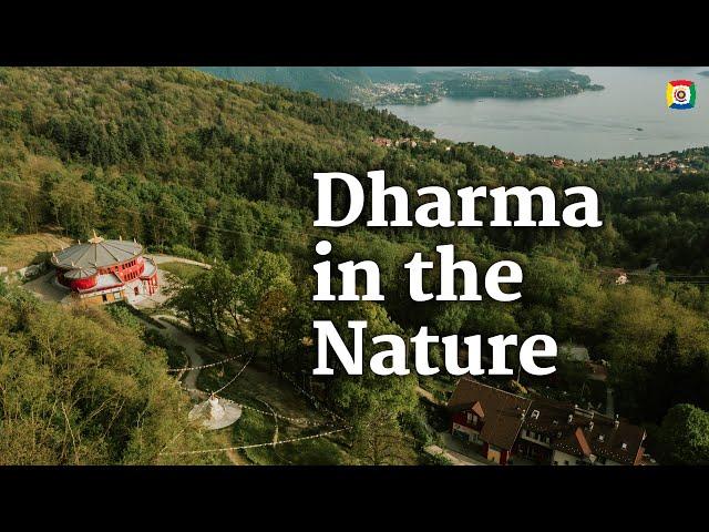 A healthy lifestyle, great, but how? - Dharma and nature with Rogier Hoenders