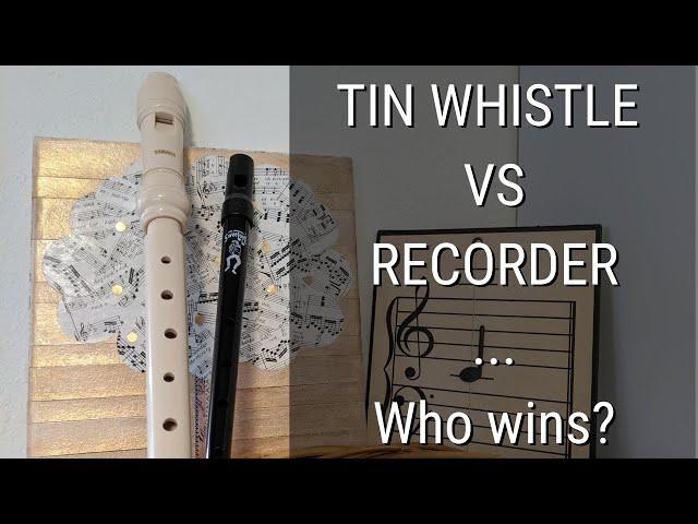 The Tin Whistle vs. The Recorder: What's the Difference?